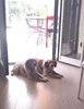 IMG_20190818_143702080.jpg