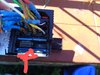 IMG_20201211_111246~2.jpg