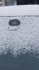 20180222_093508.jpg