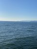 C54626CE-5263-485C-9539-296993FEA705.jpeg