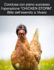 Esercito-e-galline-1.jpg