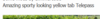 upload_2021-7-4_11-37-28.png