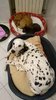 IMG-20161130-WA0004.jpg