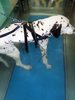 IMG-20180102-WA0001.jpg
