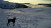 IMG_20180101_161821.jpg