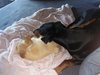 IMG_20190504_164502.jpg