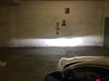 IMG_1547.jpg