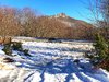3B1235B8-C007-4090-AB7B-0E8761DD0121.jpeg