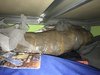 thumbnail_IMG_1973.jpg