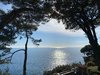 EFCB7A90-69F4-4E34-B613-9FA2C1396650.jpeg