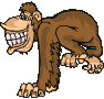 gif animate scimmie (125).gif