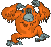 gif animate scimmie (106).gif