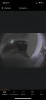 B77784ED-2ABE-42F3-8EDC-B414353413A7.png