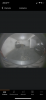 6374D53A-CABC-4C32-AE2D-C578EF9A7A2D.png