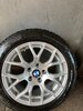 Gomme5.jpg