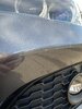 IMG_0453.jpeg