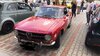 alfa1.jpg