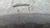 upload_2023-3-21_7-35-23.jpeg