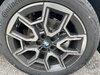 IMG_7895.jpeg