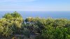 IMG-20230601-WA0007.jpeg