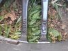 20230626_193622.jpg