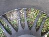 20230626_193546.jpg