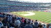 IMG-20230625-WA0073.jpeg