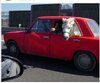 Cavallo.JPG