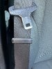 IMG_3525.jpeg