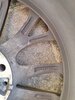 20230926_094748.jpg