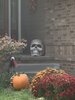 IMG_0447.jpg