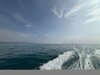 IMG_E4944.JPG