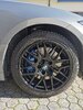 IMG_20231118_110410.jpg