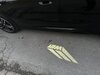 IMG_5950.jpeg