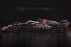 Haas 3.jpg