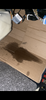 489D048D-CAD4-40C6-8A89-B03CECB6EA8C.png
