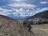 IMG_4091.jpeg