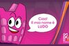 upload_2024-2-24_16-57-32.jpeg