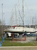 IMG-20240303-WA0005.jpg