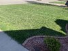IMG_1772.jpg