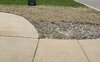 Frontyard 2022 right.jpg