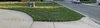 Frontyard 2024 right.jpg