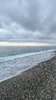 1FF20D88-1627-459C-A457-AB4467B77087.jpeg