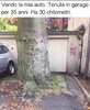 FB_IMG_1712906666647.jpg