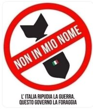 domenico2507