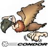 condor.condor