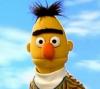 BERT63