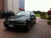 dorin31