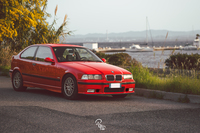 bmw318osini