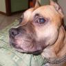 miky74fg